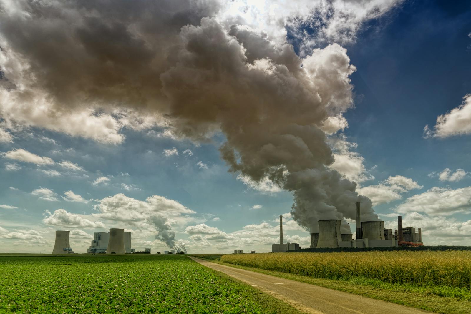 Industrial machine under predictive monitoring