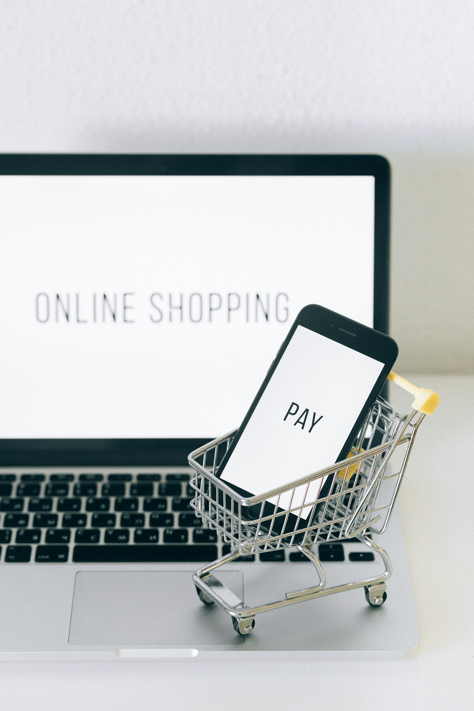 eCommerce platform development