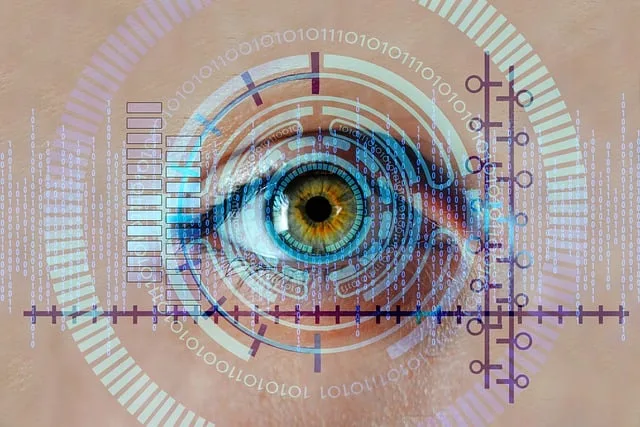 Hallucination Detection & Content Verification